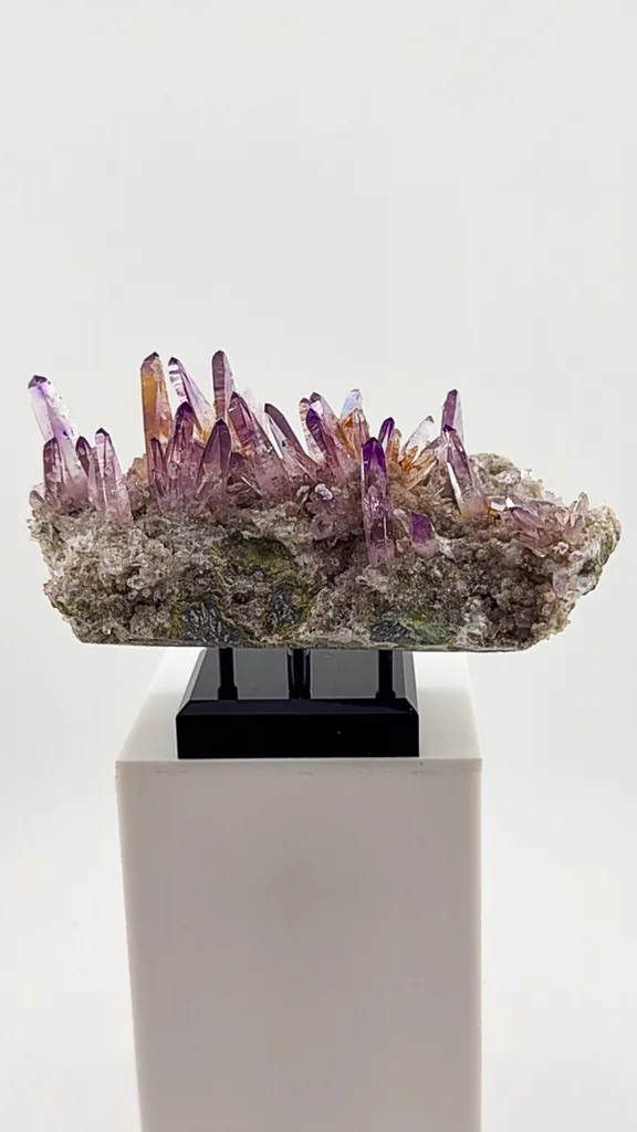 Veracruz Amethyst has a personality all its own. image