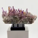 Veracruz Amethyst has a personality all its own. - image 1