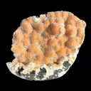 Very Rare Orange Thomsonite Self-Standing Crystal Specimen | Nashik, India | Collector Mineral - image 4