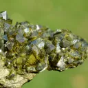 Vesuvianite 422 grams - Bellecombe, Châtillon, Aosta Valley, Italy - image 7