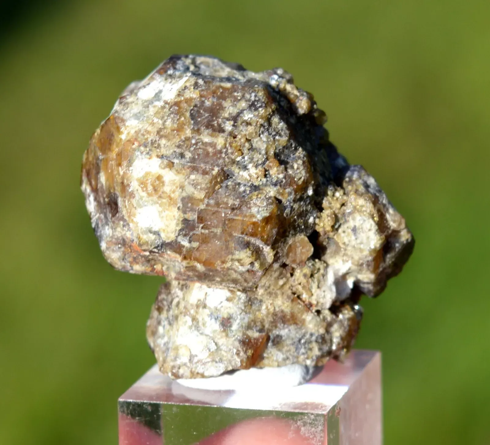 Vesuvianite & Afghanite 27 gr - Pitigliano, Grosseto Province, Tuscany, Italy - image 3