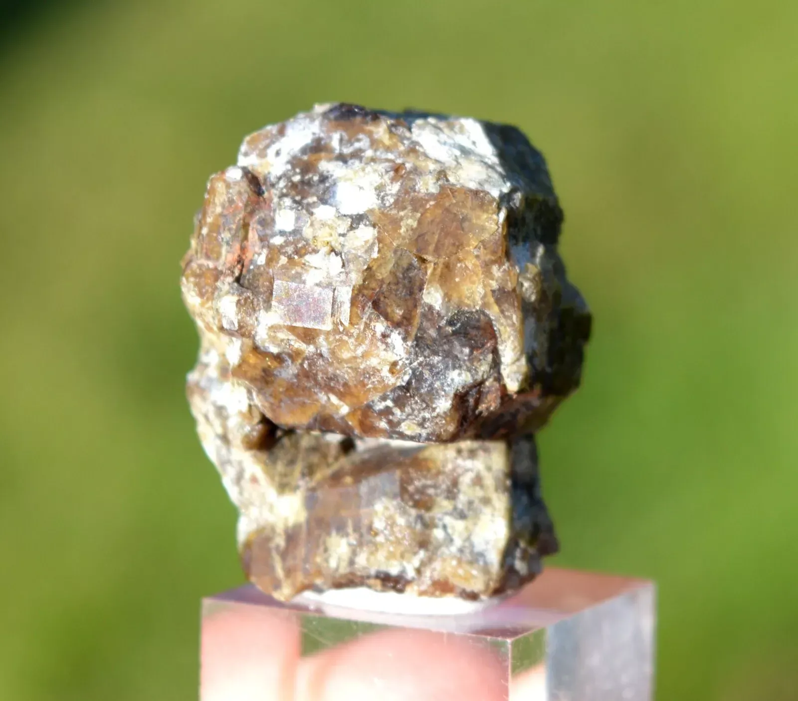 Vesuvianite & Afghanite 27 gr - Pitigliano, Grosseto Province, Tuscany, Italy - image 2