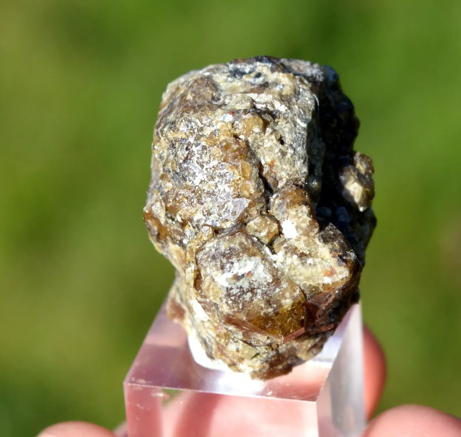 Vesuvianite & Afghanite 27 gr - Pitigliano, Grosseto Province, Tuscany, Italy - image 4