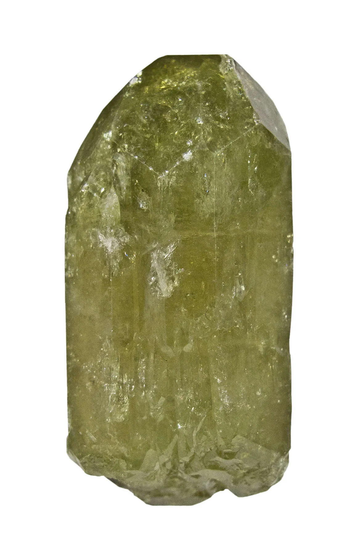 Vesuvianite (Floater) - image 5