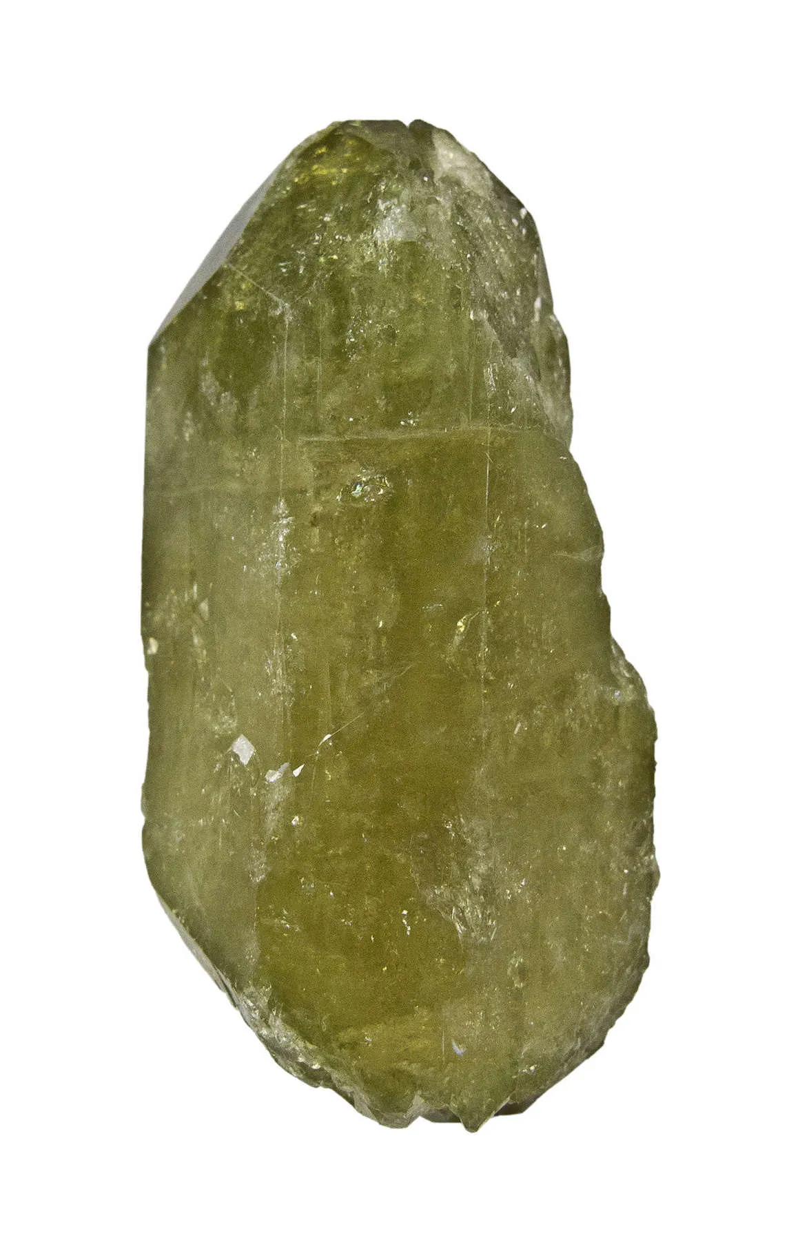 Vesuvianite (Floater) - image 7
