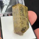 Vesuvianite from Sierra de Cruces, Sierra Mojada Municipality, Coahuila, Mexico - image 2
