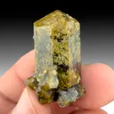 Vesuvianite from Sierra de Cruces, Sierra Mojada Municipality, Coahuila, Mexico - image 1