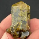 Vesuvianite from Sierra de Cruces, Sierra Mojada Municipality, Coahuila, Mexico - image 2
