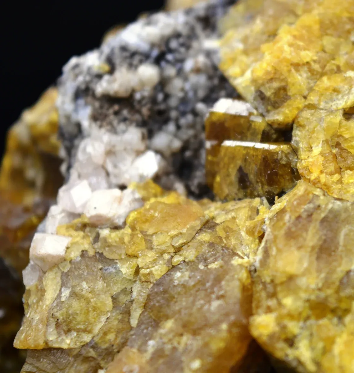 Vesuvianite & grossular garnet - 277 grams - Sierra de la Cruz (Lake Jaco), Coahuila, Mexico - image 3