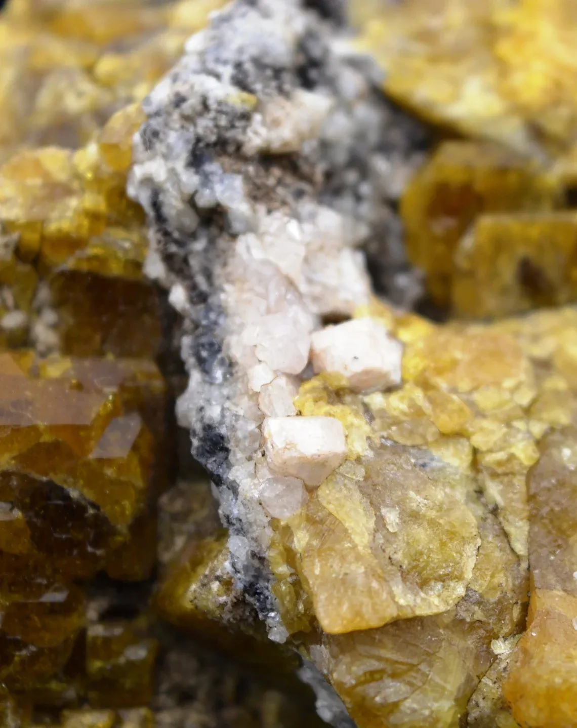 Vesuvianite & grossular garnet - 277 grams - Sierra de la Cruz (Lake Jaco), Coahuila, Mexico - image 4