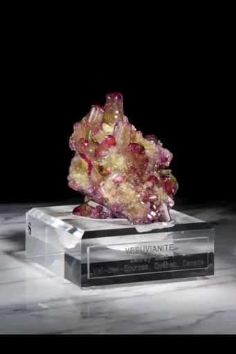 specimen video