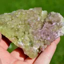 Vesuvianite & Mangano-vesuvianite 357 grams - Jeffrey Mine ("Johns-Manville Mine"), Quebec, Canada - image 1