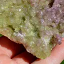 Vesuvianite & Mangano-vesuvianite 357 grams - Jeffrey Mine ("Johns-Manville Mine"), Quebec, Canada - image 9