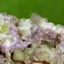 Vesuvianite & Mangano-vesuvianite 357 grams - Jeffrey Mine ("Johns-Manville Mine"), Quebec, Canada - image 10