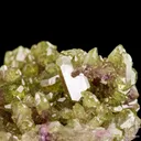 Vesuvianite on Manganoan Vesuvianite - image 5