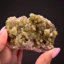 Vesuvianite on Manganoan Vesuvianite - image 1