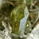Vesuvianite on Talc - image 2