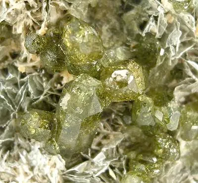 Vesuvianite on Talc - image 4