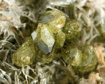 Vesuvianite on Talc - image 3