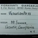 Vesuvianite (Type Locality) - image 5