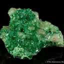 Vesuvianite var. Chrome - image 4