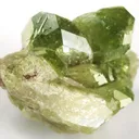 Vesuvianite (Var: Chrome-Vesuvianite) - image 1