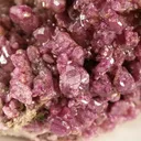 Vesuvianite (Var: Manganoan Vesuvianite) - image 2