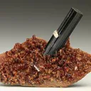 VESUVIANITE with GROSSULAR  and DIOPSIDE - image 1