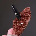 VESUVIANITE with GROSSULAR  and DIOPSIDE - image 2