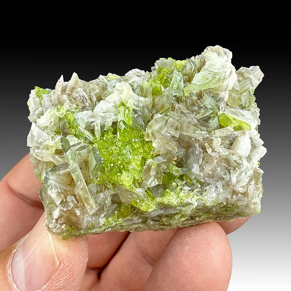 Vesuvianite with Pectolite image