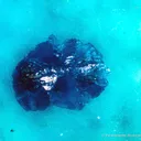 Veszelyite and Hemimorphite - image 6