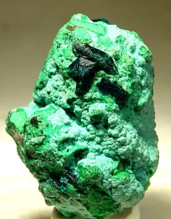 Veszelyite, Chrysocolla, Quartz image