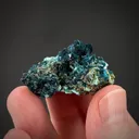 Veszelyite, Dongchuanite on Molybdenite - image 2