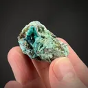 Veszelyite on Cuprodongchuanite - image 2