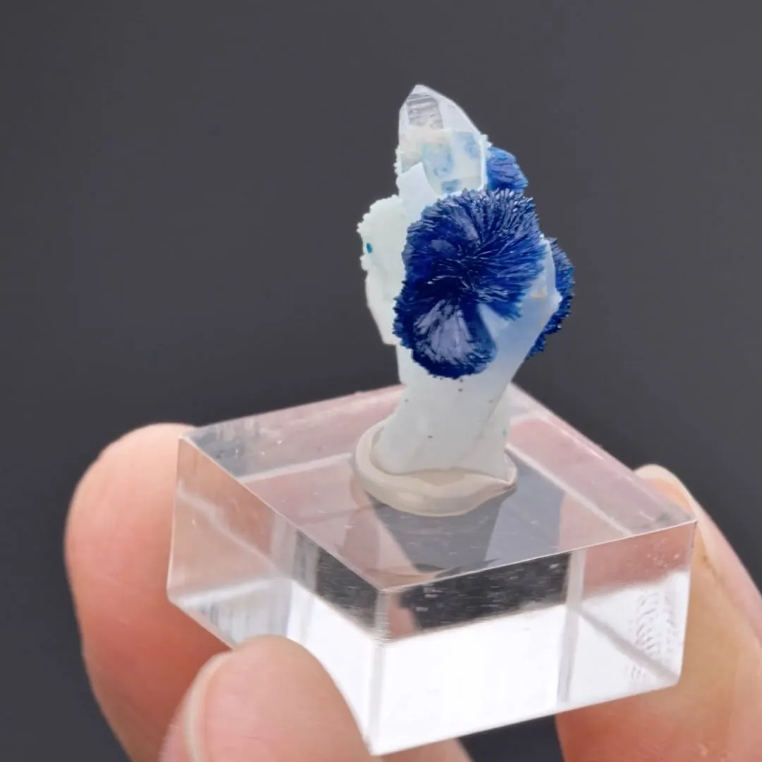 Veszelyite on Quartz - image 2