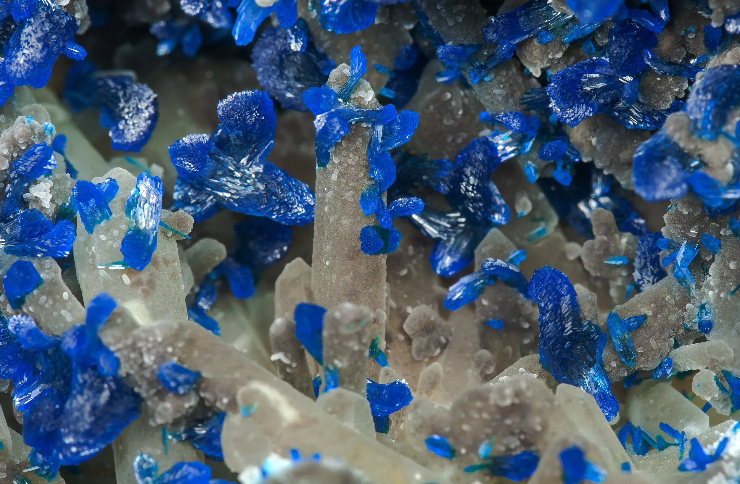 Veszelyite on Quartz - image 4