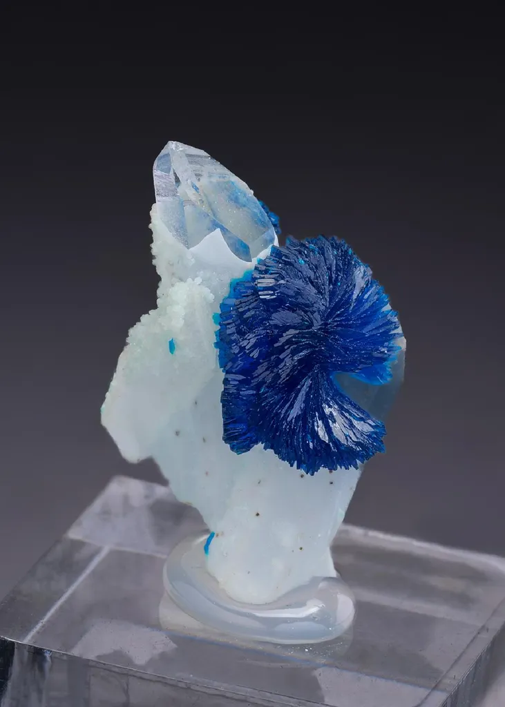 Veszelyite on Quartz image