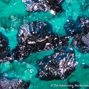 Veszelyite on Zincolibethenite - image 5