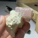 specimen video