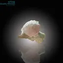 Vibrant Apatite on Feldspar Matrix - image 1