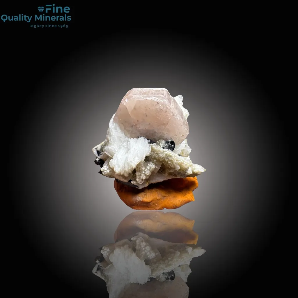 Vibrant Apatite with Schorl on Matrix image