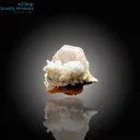 Vibrant Apatite with Schorl on Matrix - image 2