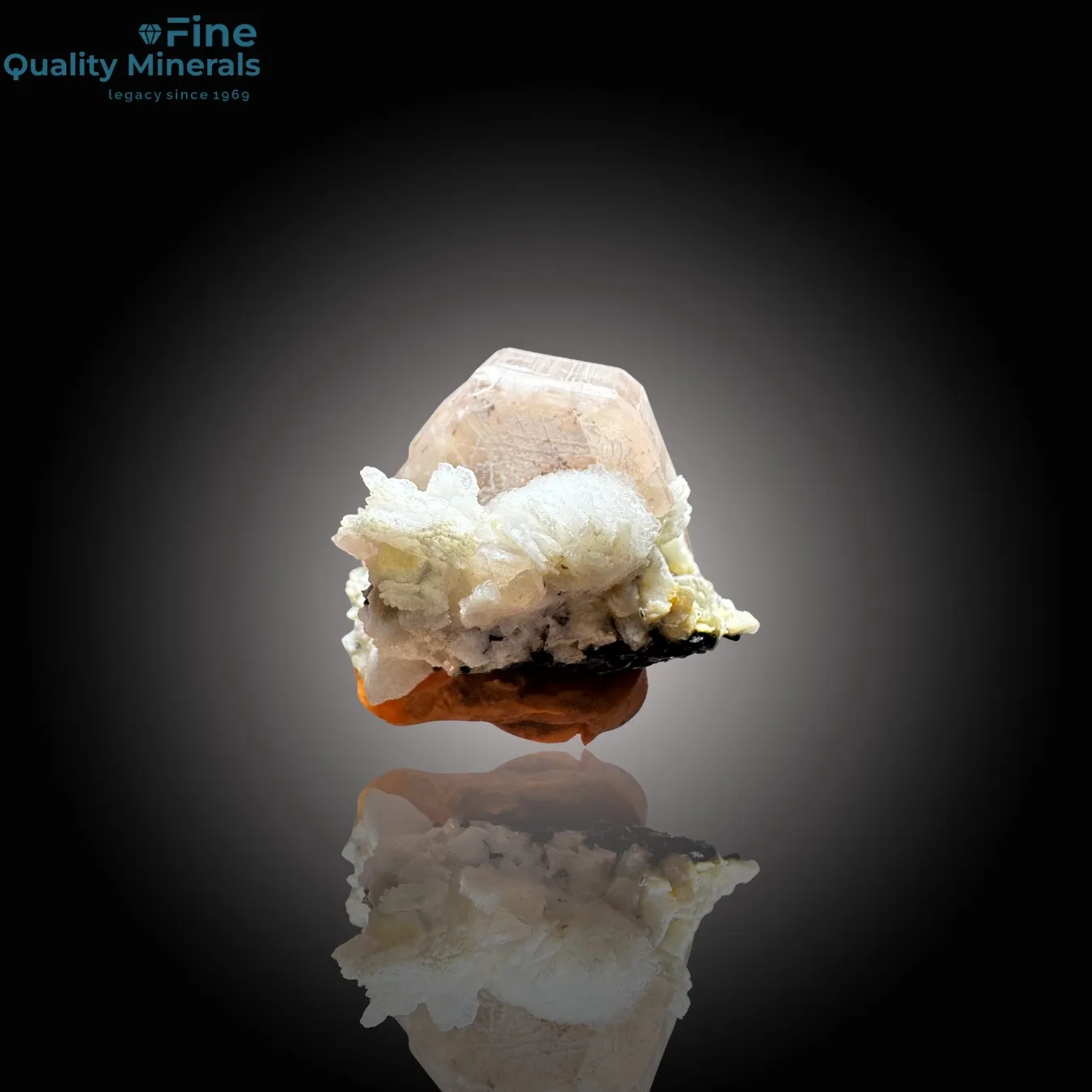 Vibrant Apatite with Schorl on Matrix - image 2