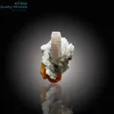 Vibrant Apatite with Schorl on Matrix - image 3