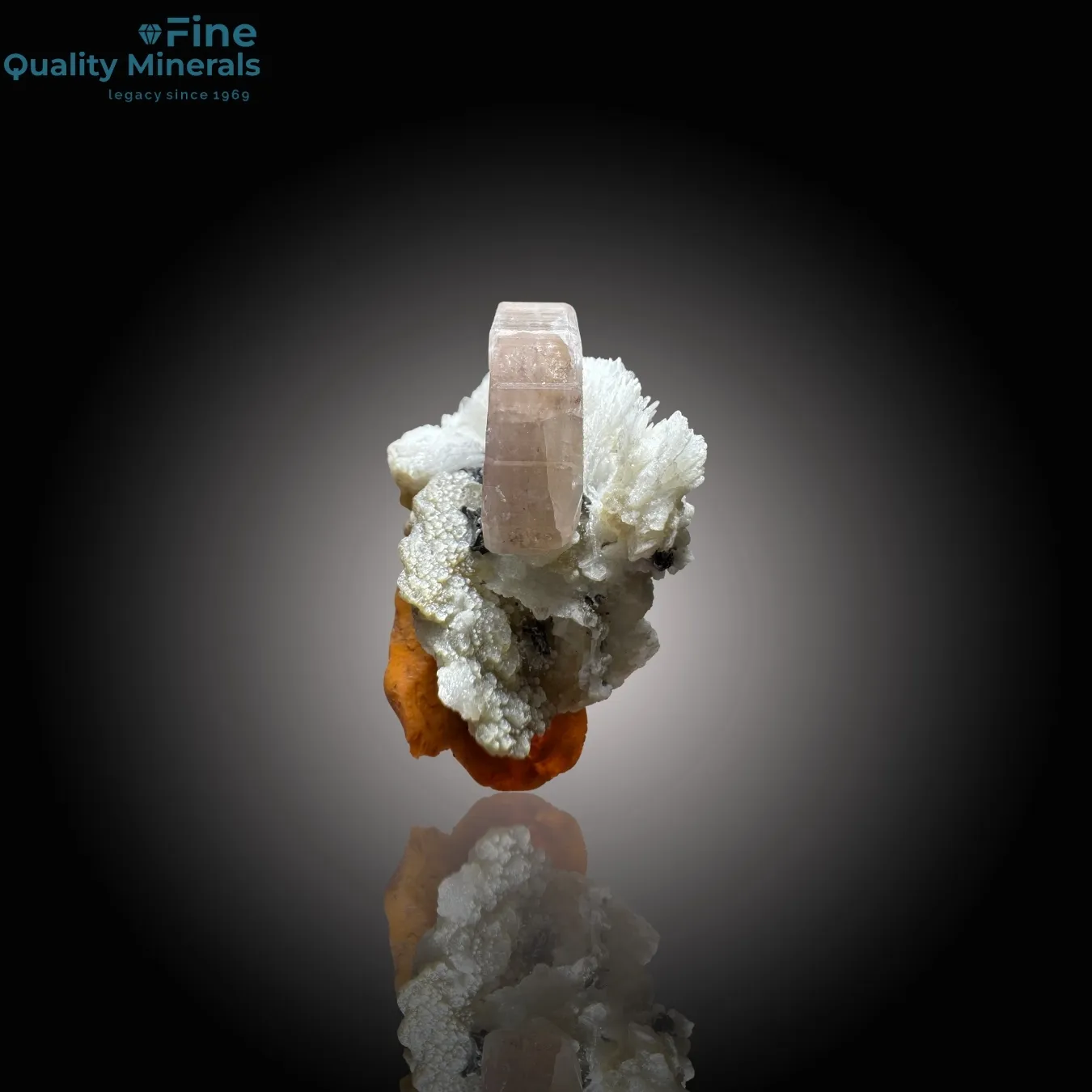 Vibrant Apatite with Schorl on Matrix - image 3