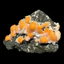 Vibrant Orange Thomsonite Balls with Needle Mesolite on Basalt Matrix – Premium Indian Mineral Specimen - image 6