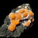 Vibrant Orange Thomsonite Balls with Needle Mesolite on Basalt Matrix – Premium Indian Mineral Specimen - image 4