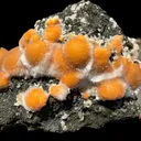 Vibrant Orange Thomsonite Balls with Needle Mesolite on Basalt Matrix – Premium Indian Mineral Specimen - image 3