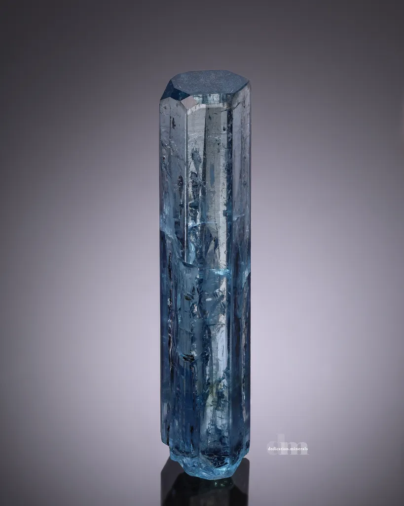 Vietnamese Aquamarine image