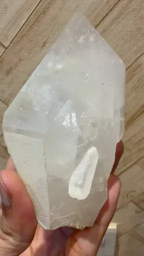 specimen video